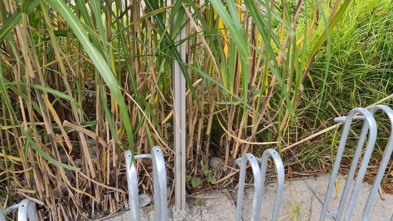 Ladestation für die ebikes Ladestation für die ebikes